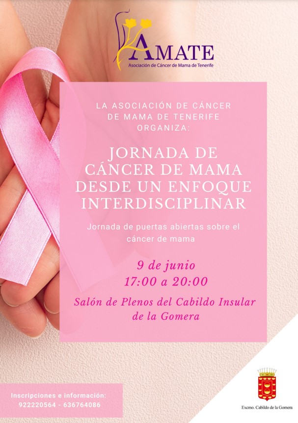 Imagen de El Cabildo y Ámate celebran una jornada informativa sobre el cáncer de mama 